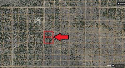 Two Adjacent Lots Totaling Nearly 1 1/4 Acres - Buildable - Tres Piedras NM Near Taos