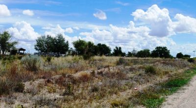 Town Lot in Willard, New Mexico - Water and Power Available